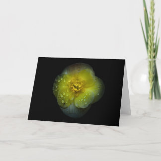 Carte Jardin Fleurs No 134 Version couleur
