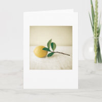 Jardin Meyer Lemon peinture photo vierge