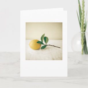 Carte Jardin Meyer Lemon peinture photo vierge