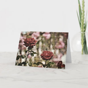 Carte Jardin romantique des Roses rouges
