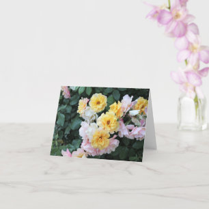 Carte Jardin rose