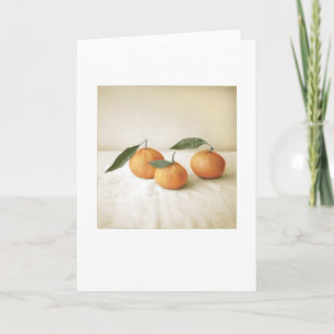 Carte Jardin Satsuma Orange peinture photo vierge