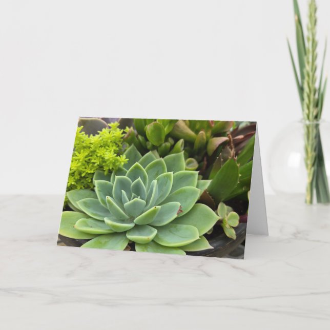 Carte Jardin succulent (Devant)