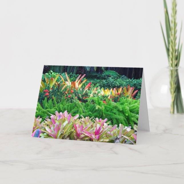 Carte Jardin tropical (Devant)