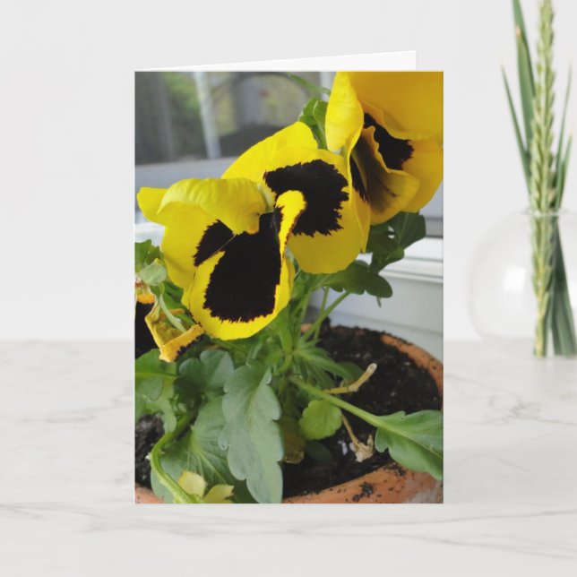 Carte Jaune Avec Pansies Noires (Devant)