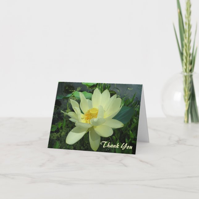 Carte jaune de fleur de nénuphar de Merci (Devant)