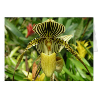 Carte jaune de fleur d'orchidée