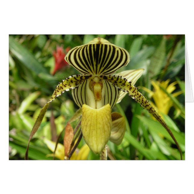 Carte jaune de fleur d'orchidée (Devant Horizontal)