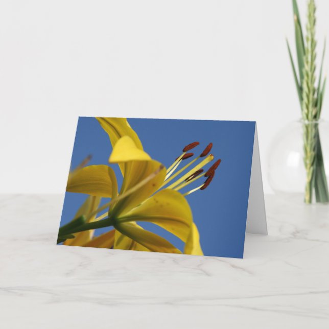 Carte Jaune Lily (Devant)