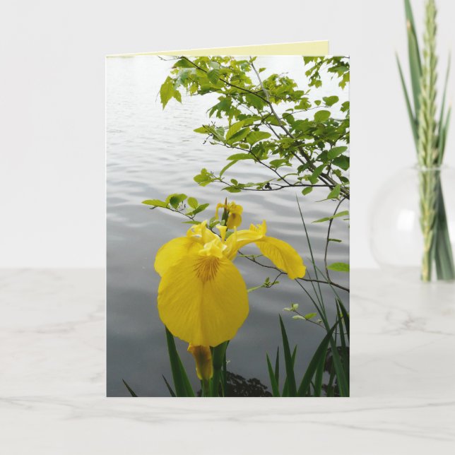Carte Jaune sauvage (Devant)