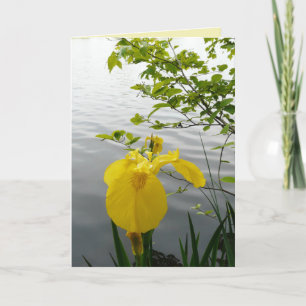Carte Jaune sauvage