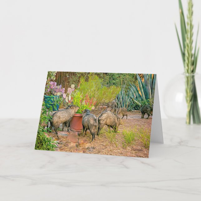 Carte Javelinas à la Casita (Devant)