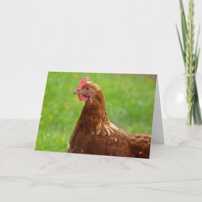 Carte Jay Hen Rhode Island Poulet rouge (Devant)