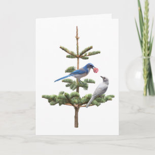 Carte Jays Christmas Tree