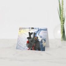 Je déteste la neige.