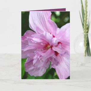 Carte Je Dis Bonjour Flower Grey Card