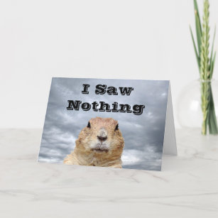 Cartes De Vœux Marmottes Zazzle Fr