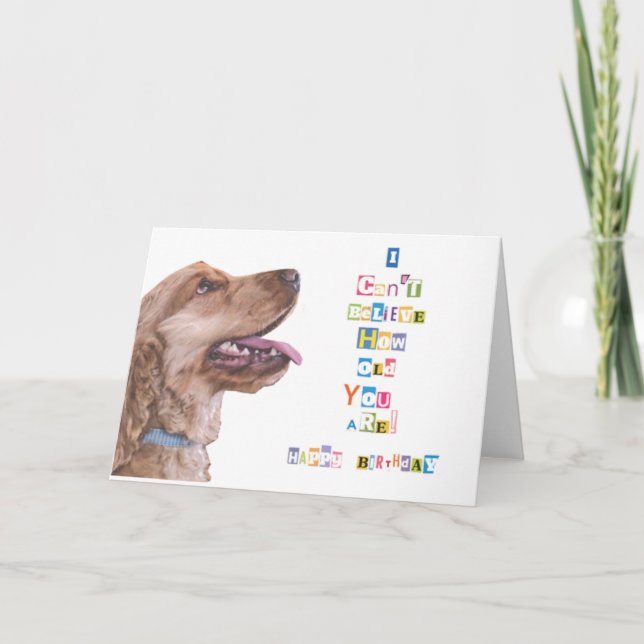 Carte Je ne peux pas croire à quel point vieux vous êtes (Devant)