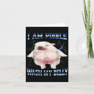 Carte Je suis bble lave mon ventre bble Meme Chien Drôle