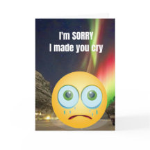 Je suis désolé de vous avoir fait pleurer.