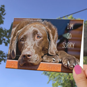 Carte Je suis désolé Labrador Retriever Joyeux Anniversa