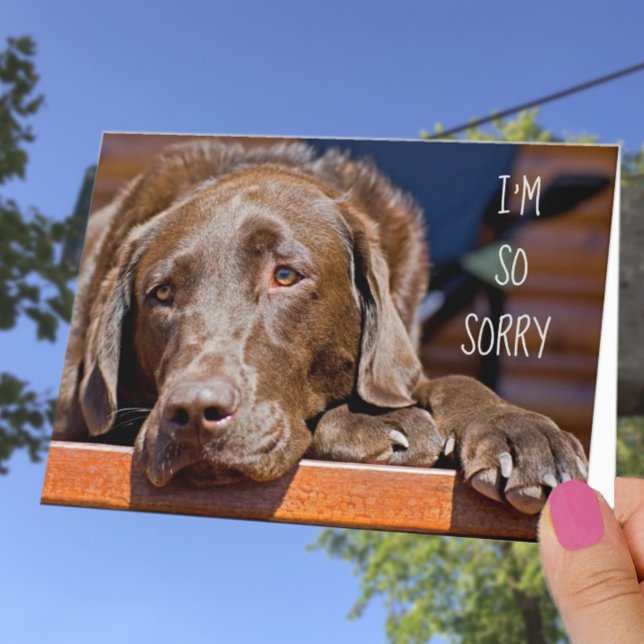 Carte Je suis désolé Labrador Retriever Joyeux Anniversa (Créateur téléchargé)
