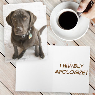 Carte Je suis désolé Photo de Chien Labrador Retriever a