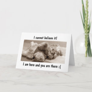 CARTE JE SUIS ICI/VOUS ÊTES LÀ=JE MANQUE "VOUS"