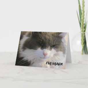 Carte Je suis Mad ! Que J'Ai Manqué Ton Chat D'Anniversa