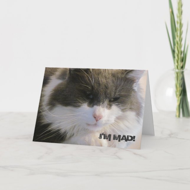 Carte Je suis Mad ! Que J'Ai Manqué Ton Chat D'Anniversa (Devant)