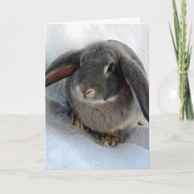 Carte Je suis tout pour toi (Devant)