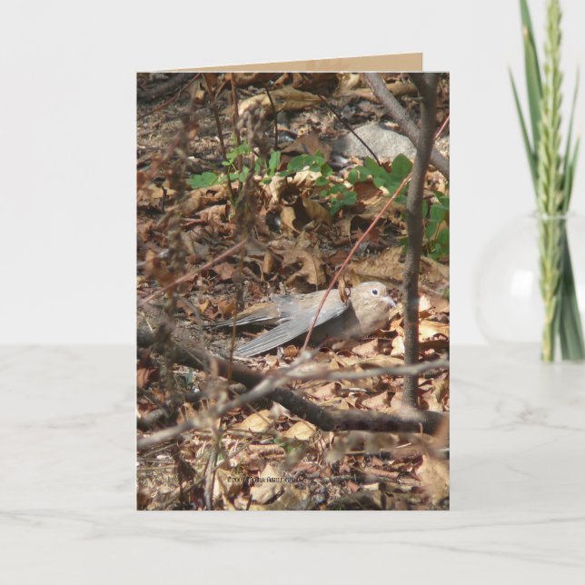 Carte Je suis une feuille, vraiment (Devant)