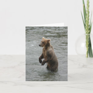 Carte Je t'ai vu le premier ours debout