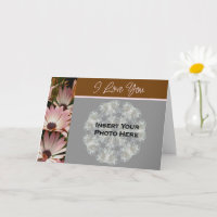 Je t'aime African Daisies Photo de fleur 