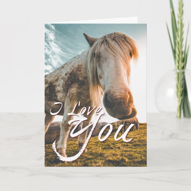 Carte Je t'aime avec cheval regardant (Devant)