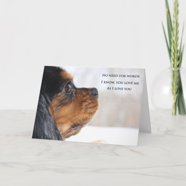 Carte Je T'Aime Cavalier King Charles Spaniel Card (Devant)