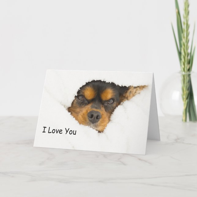 Carte Je t'aime King Charles Spaniel qui regarde dehors (Devant)