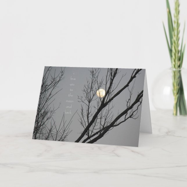 Carte Je t'aime sur la lune et derrière, vierge à l'inté (Devant)