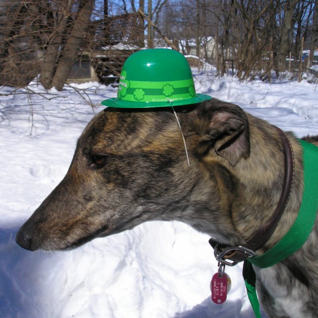 Carte "Je te défie à la course !" (Créateur téléchargé)