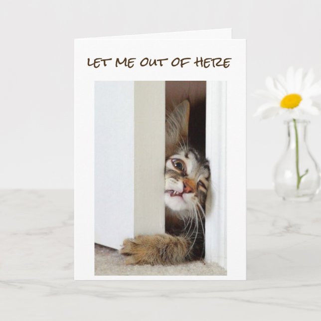 Carte JE VEUX DIRE **HEUREUX 13e ANNIVERSAIRE** ADOLESCE (Petite plante)