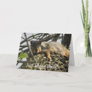 Carte Je viens de dire Bonjour mignon écureuil dans l'ar