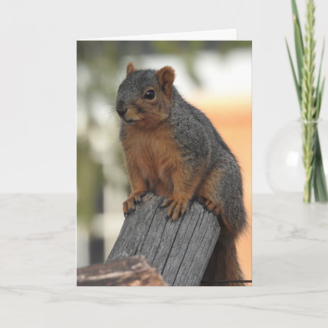 Carte Je viens juste d'aller voir Say Hi (Devant)