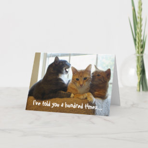 Cartes Chien Chat D Anniversaire Zazzle Fr