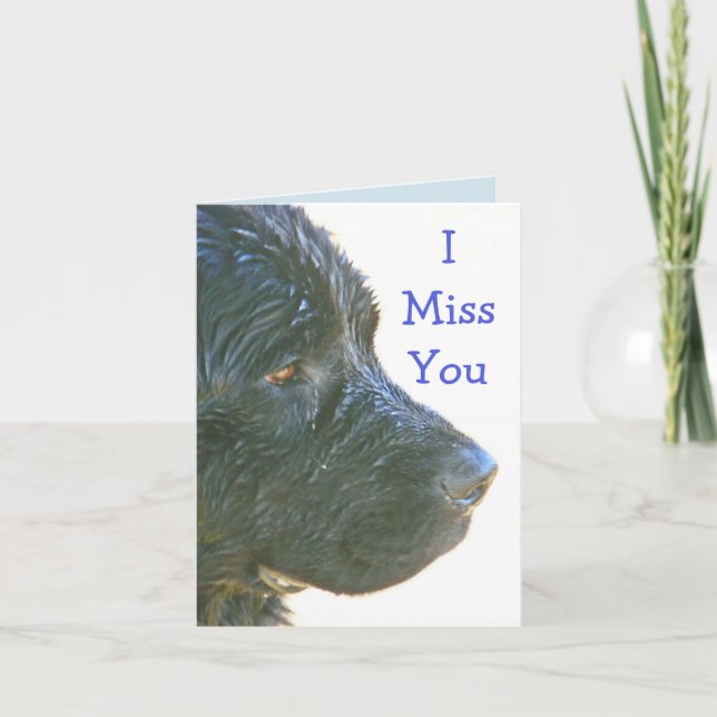 Carte "Je Vous Manque" Beau, Triste Chien Newfie (Devant)
