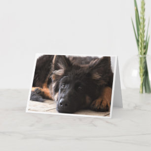 Carte Je vous observe