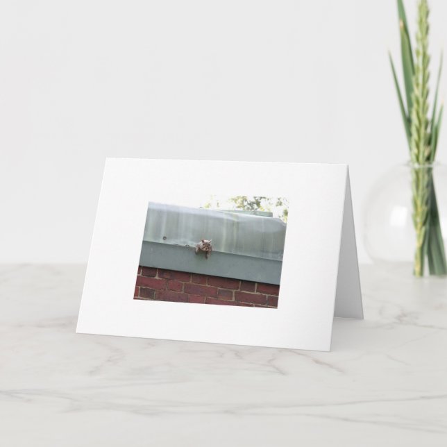 Carte je vous observe (Devant)