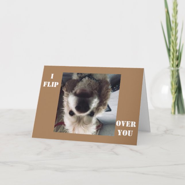 CARTE * JE VOUS SURVOLE* LE MARDI VOUS MONTRE COMBIEN JE (Devant)