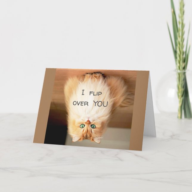 CARTE * JE VOUS SURVOLE* LE MARDI VOUS MONTRE COMBIEN JE (Devant)