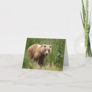 Carte Je vous vois regarder l'ours