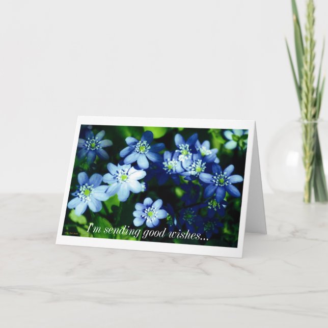 Carte J'envoie de bons souhaits (Devant)